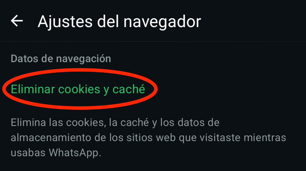 Paso 2
